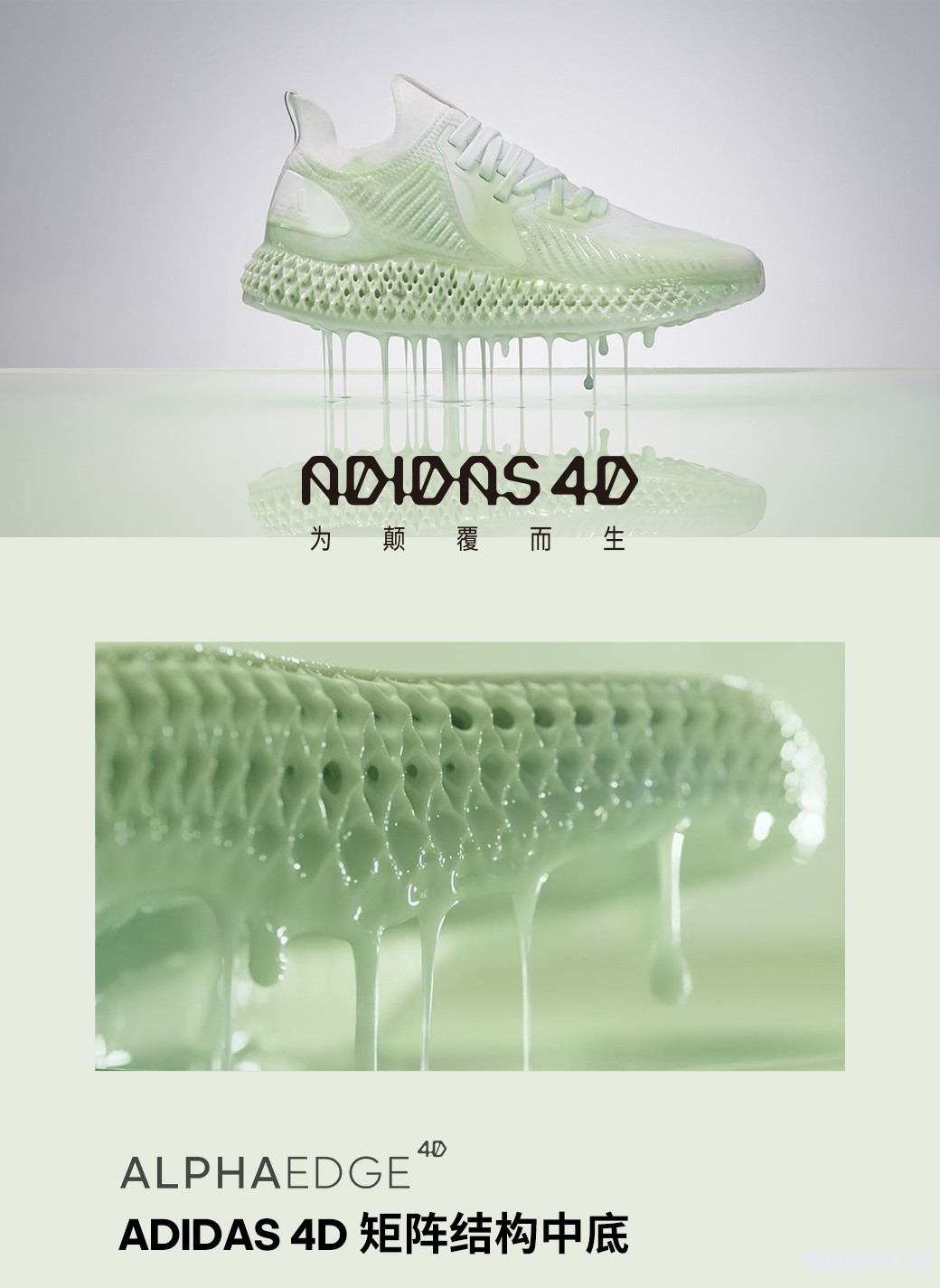 ALPHAEDGE 4D \Ь